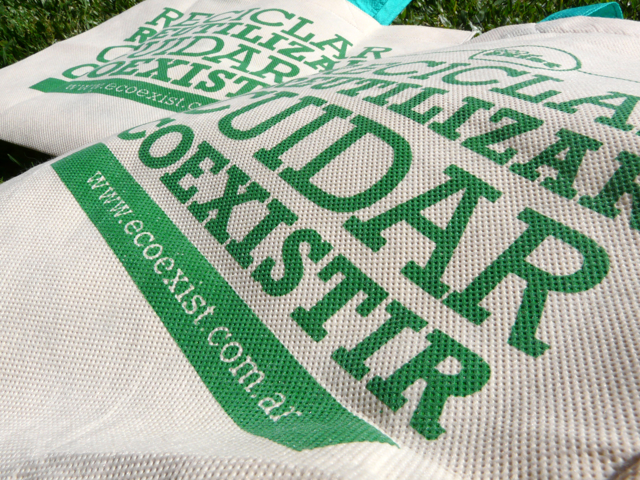 Ecoexist fábrica bolsas non-woven